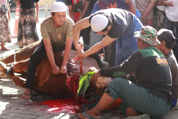 Idul adha di pesantren, merawat tradisi menguatkan ukhuwah